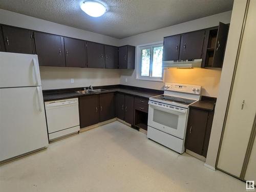 312 12416 161 Avenue, Edmonton, AB - Indoor Photo Showing Kitchen With Double Sink