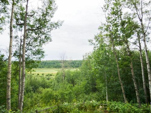 453039 Rge Rd 10, Rural Wetaskiwin County, AB 