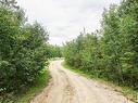 453039 Rge Rd 10, Rural Wetaskiwin County, AB 