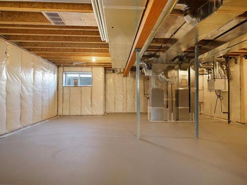 4123 Ginsburg Place, Edmonton, AB - Indoor Photo Showing Basement