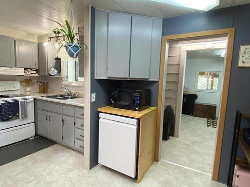 106 11124 Twp Rd 595, Rural St. Paul County, AB - Indoor Photo Showing Kitchen With Double Sink