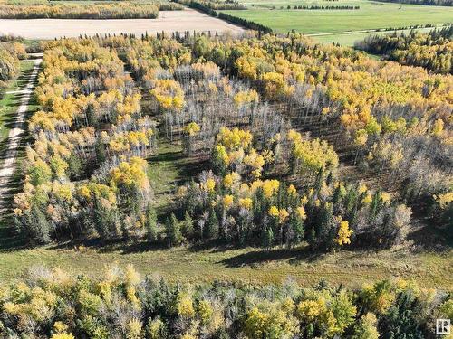 Lot 3 Forest Road (Rr 214), Rural Athabasca County, AB 