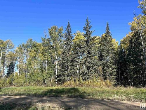 Lot 8 Forest Road (Rr 214), Rural Athabasca County, AB 