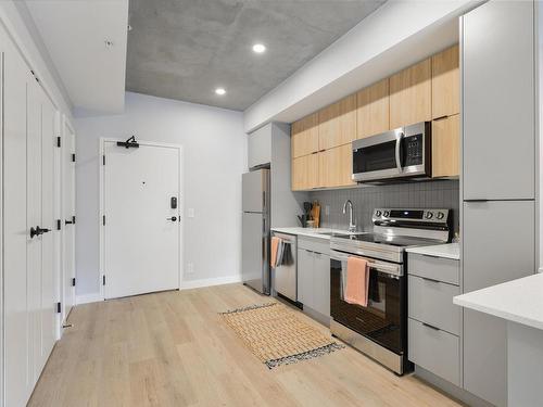 202 11141 84 Avenue, Edmonton, AB - Indoor Photo Showing Kitchen