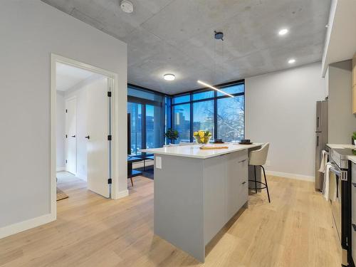 316 11141 84 Avenue, Edmonton, AB - Indoor Photo Showing Kitchen