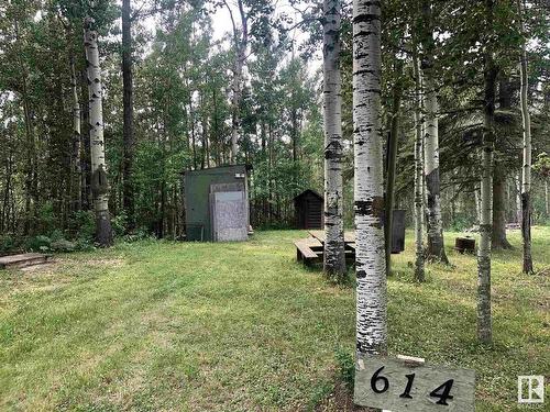 614 6 St, Rural Wetaskiwin County, AB 