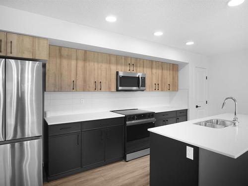 29 905 172 Street, Edmonton, AB - Indoor Photo Showing Kitchen With Double Sink