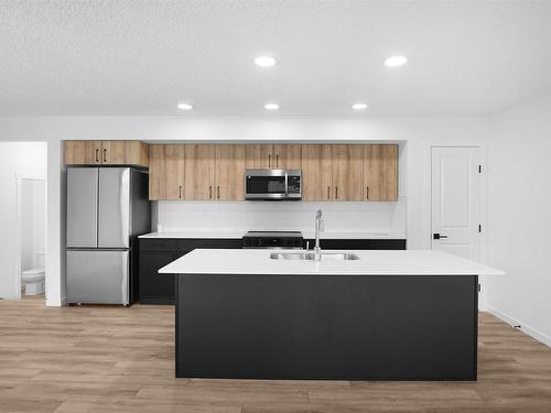 29 905 172 Street, Edmonton, AB - Indoor Photo Showing Kitchen With Double Sink