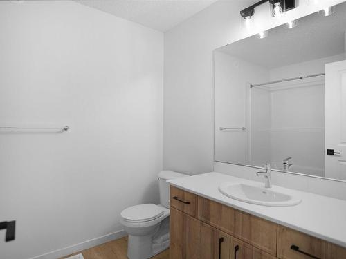 29 905 172 Street, Edmonton, AB - Indoor Photo Showing Bathroom