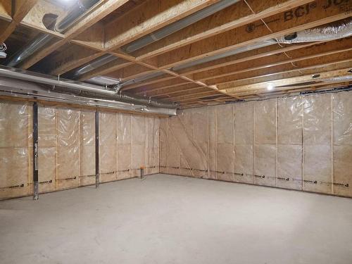 29 905 172 Street, Edmonton, AB - Indoor Photo Showing Basement