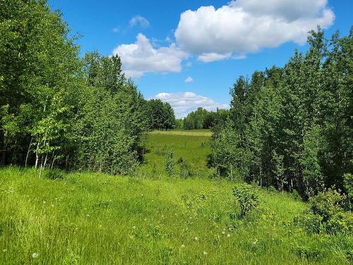 15040 A Twp Rd 460, Rural Wetaskiwin County, AB 