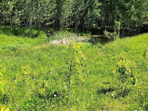 15040 A Twp Rd 460, Rural Wetaskiwin County, AB 