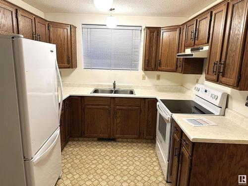 10425 77 Street, Edmonton, AB - Indoor Photo Showing Kitchen With Double Sink