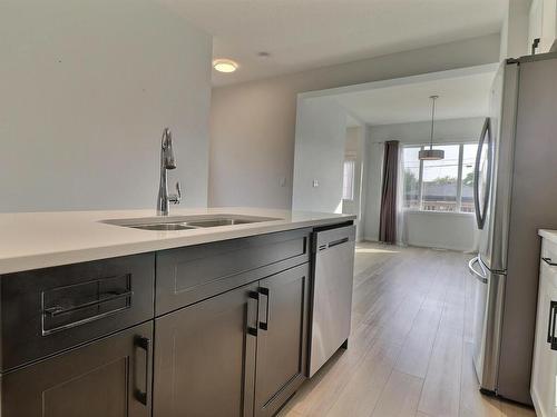 12439 83 Street, Edmonton, AB - Indoor Photo Showing Kitchen With Double Sink