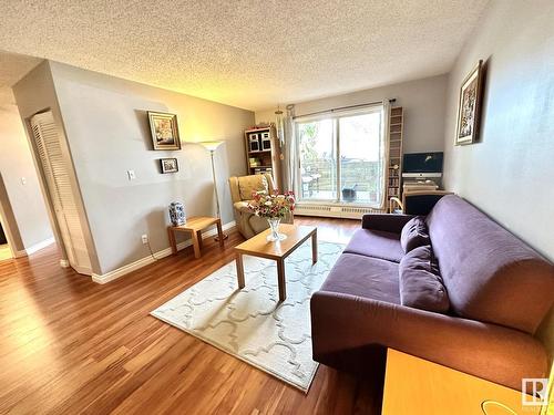 111 11620 9A Avenue, Edmonton, AB - Indoor Photo Showing Living Room