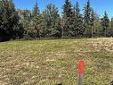 232 Ravine Dr, Devon, AB 