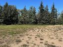 232 Ravine Dr, Devon, AB 