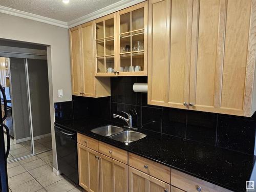 104 9925 83 Avenue, Edmonton, AB - Indoor Photo Showing Kitchen With Double Sink