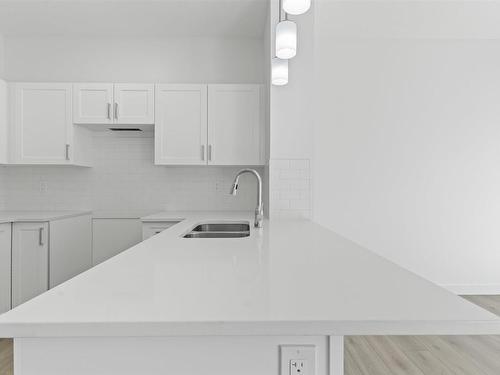 30 740 Daniels Way, Edmonton, AB - Indoor Photo Showing Kitchen With Double Sink