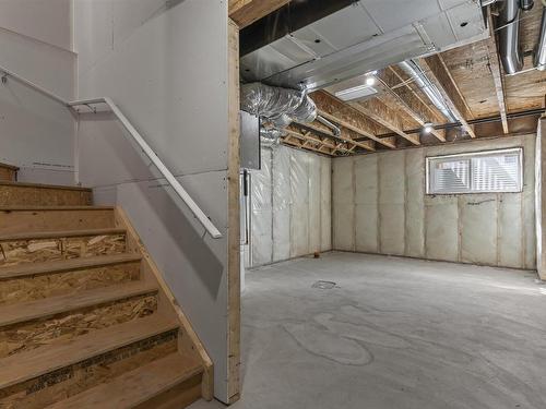 30 740 Daniels Way, Edmonton, AB - Indoor Photo Showing Basement