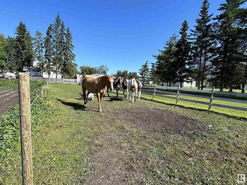 5001 50 St, Rural Westlock County, AB 