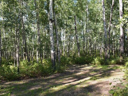 57512 Range Road 21, Rural Barrhead County, AB 