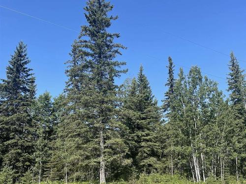 14, 221048 Township Rd 670, Rural Athabasca County, AB 