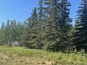 14, 221048 Township Rd 670, Rural Athabasca County, AB 