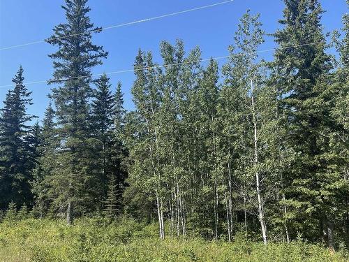 14, 221048 Township Rd 670, Rural Athabasca County, AB 