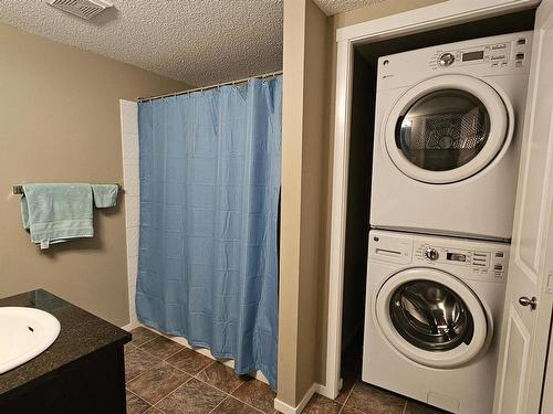 415 3207 James Mowatt Trail, Edmonton, AB - Indoor Photo Showing Laundry Room