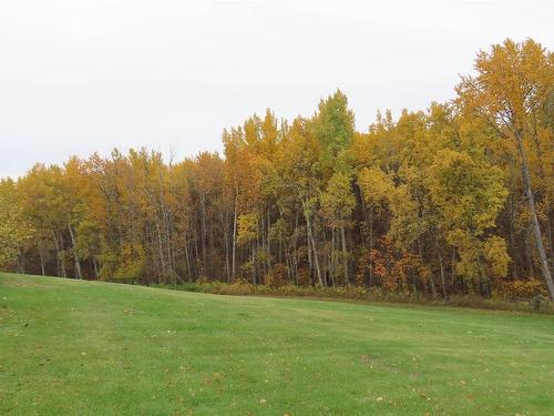 53424 Rge Rd 14, Rural Parkland County, AB 