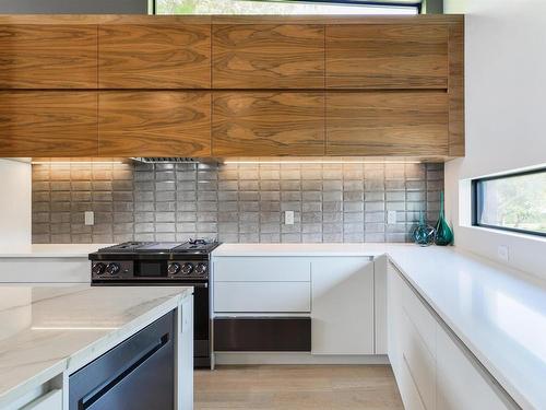 10918 117 Street, Edmonton, AB - Indoor Photo Showing Kitchen