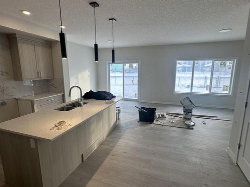 1453 Plum Circle Circle, Edmonton, AB - Indoor Photo Showing Kitchen With Double Sink