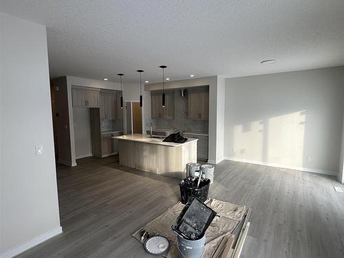 1453 Plum Circle Circle, Edmonton, AB - Indoor Photo Showing Kitchen With Upgraded Kitchen