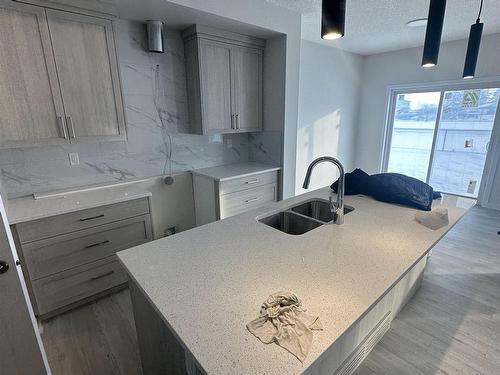 1453 Plum Circle Circle, Edmonton, AB - Indoor Photo Showing Kitchen With Double Sink