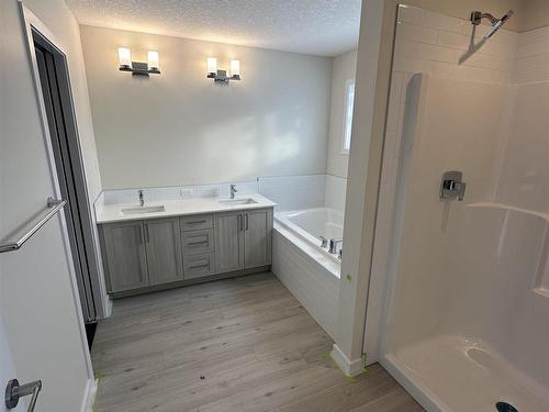 1453 Plum Circle Circle, Edmonton, AB - Indoor Photo Showing Bathroom