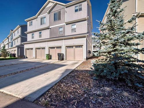 #20 1110 Daniels Li Sw Sw, Edmonton, AB 