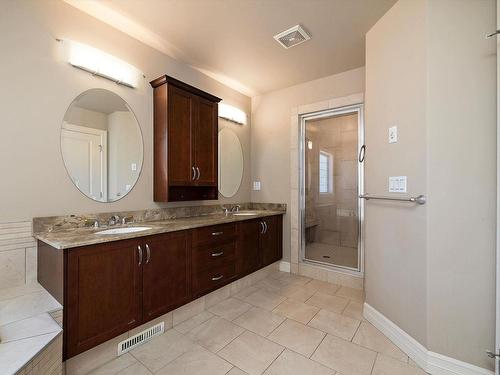 817 Hollands Landing Landing, Edmonton, AB - Indoor Photo Showing Bathroom