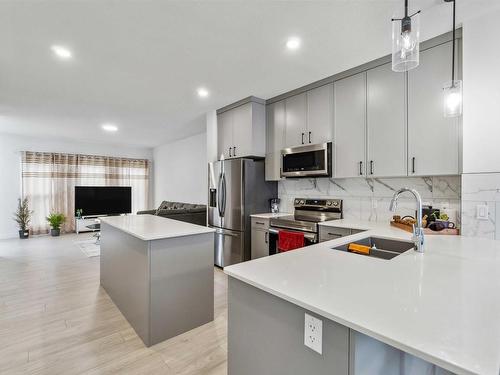 2931 Coughlan Green, Edmonton, AB - Indoor Photo Showing Kitchen With Double Sink With Upgraded Kitchen