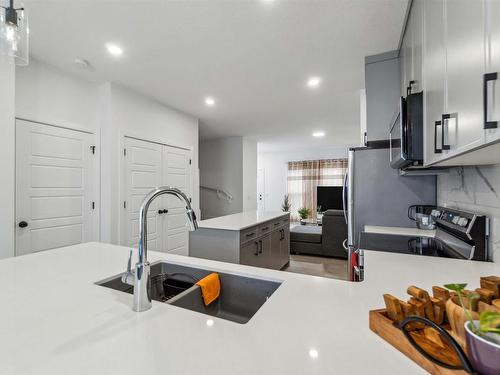 2931 Coughlan Green, Edmonton, AB - Indoor Photo Showing Kitchen With Double Sink With Upgraded Kitchen