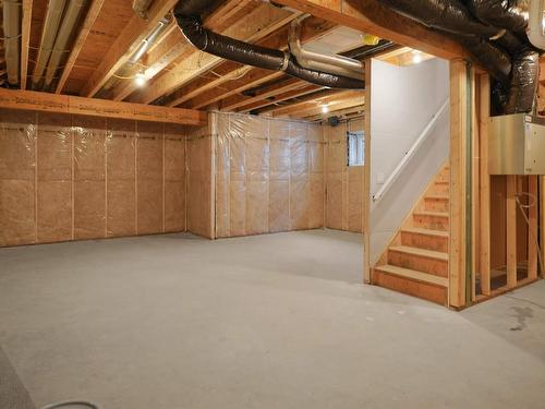 1435 Cherniak Way, Edmonton, AB - Indoor Photo Showing Basement