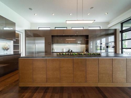 622 Howatt Drive, Edmonton, AB - Indoor Photo Showing Kitchen With Upgraded Kitchen