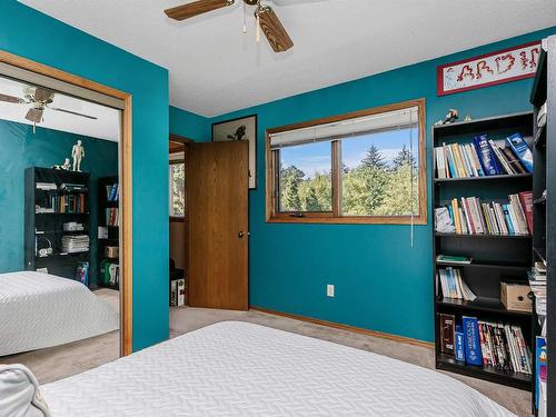 8911 97 Street, Edmonton, AB - Indoor Photo Showing Bedroom