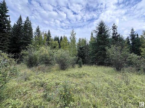 59203 Rge Rd 235A, Rural Westlock County, AB 