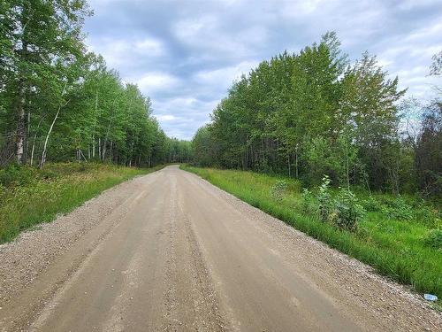 Lot 1-Twp 504 Range Road 65, Rural Brazeau County, AB 