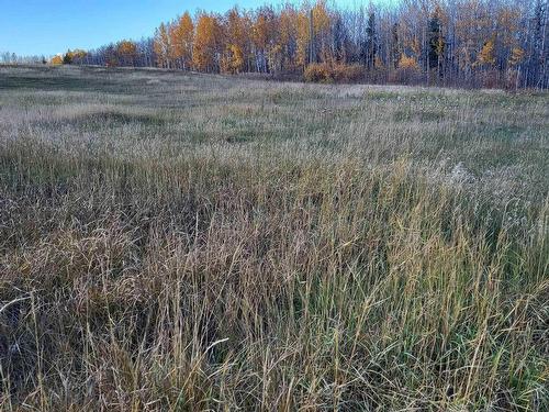 Lot 2-Twp 504 Range Road 65, Rural Brazeau County, AB 