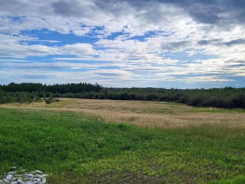 Lot 2-Twp 504 Range Road 65, Rural Brazeau County, AB 