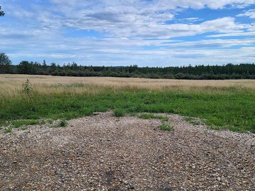 Lot 2-Twp 504 Range Road 65, Rural Brazeau County, AB 