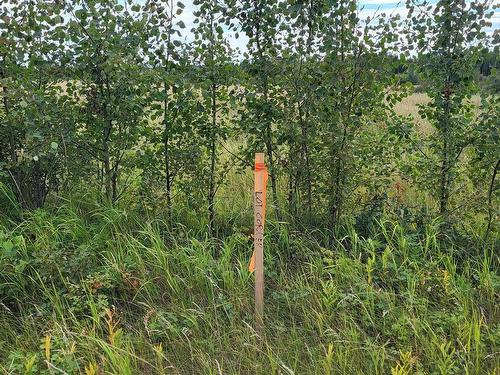 Lot 2-Twp 504 Range Road 65, Rural Brazeau County, AB 