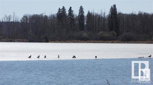 42 Highway 633 And Range Road 53, Rural Lac Ste. Anne County, AB - Outdoor With Body Of Water With View